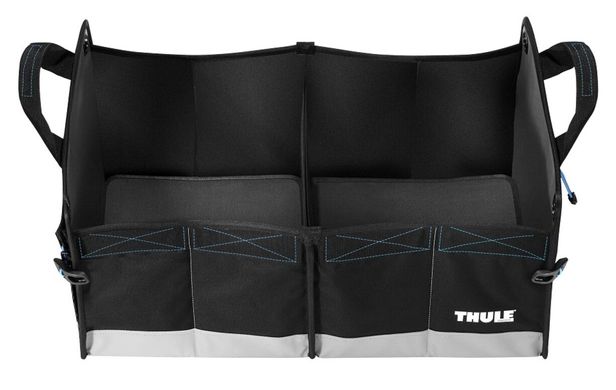 Cумка-органайзер Thule Go Box (Black) цена 6 143 грн