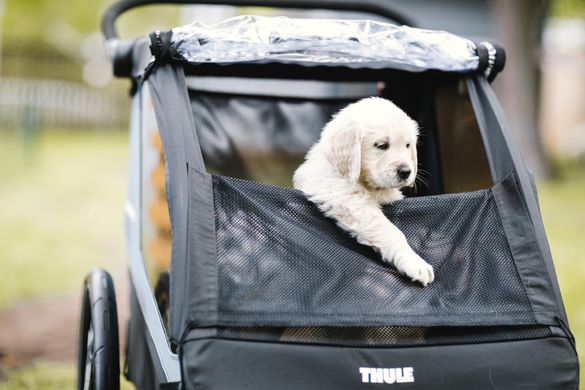 Комплект перевозки собаки Thule Courier Dog Trailer Kit () цена 3 999 грн