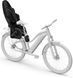 Детское кресло Thule Yepp 2 Maxi FM фото