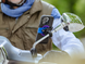 Кріплення Thule QuadLock&trade; Mirror Mount фото