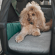 Лежак для собаки в прицепе для велосипеда Thule Bexey Dog Bed фото