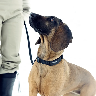 Ошейник-мартингейл для собак Thule Dart Martingale Collar M (Dark Slate)