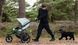 Детская коляска Thule Urban Glide 3 фото