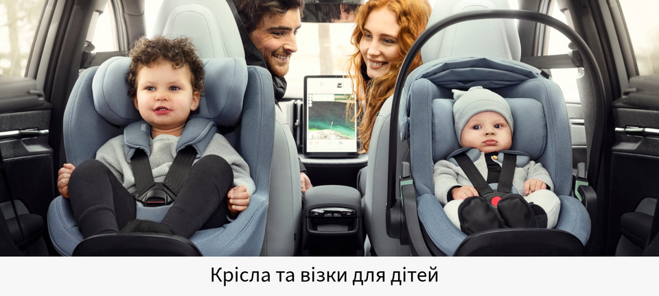 Сумки та органайзери Thule
