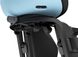 Детское велокресло Thule Yepp Nexxt 2 Maxi RM (Aquamarine) цена 6 599 грн