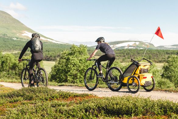 Мультиспортивна дитяча коляска Thule Chariot Sport (Spectra Yellow) ціна 55 999 грн